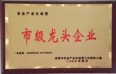 Municipal leading enterprises